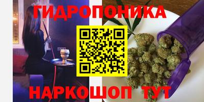 амф Канаш