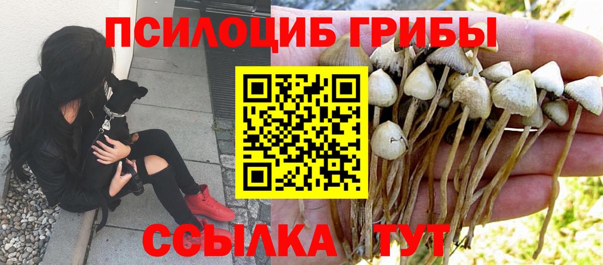 Галлюциногенные грибы Cubensis  Вход с VPN  Галлюциногенные грибы ЛСД  Армавир 